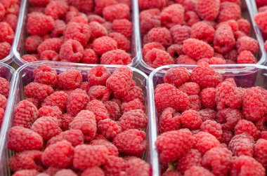 Ekran durumda ahududu meyveleri olgunlaşmış ve tatlı. Organik çilek doğal arka plan. Ahududu yakın çekim.