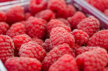 Ekran durumda ahududu meyveleri olgunlaşmış ve tatlı. Organik çilek doğal arka plan. Ahududu yakın çekim.