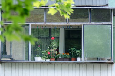 Tencere farklı çiçekler açık bir balkonda ayarla