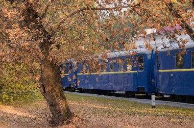 Mavi binek ve tren sonbahar ağacına tren istasyonunda. Demiryolu ile renkli sonbahar manzara. Demiryolu platformu. Toplu taşıma.