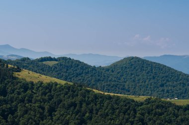 Bir khutir, Ukrayna Karpatlar polonyna. Tek aile yerleşim Karpat Dağları üstüne. Ukrayna.