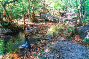 Şelale ağaç orman arasında küçük nehir manzarası.