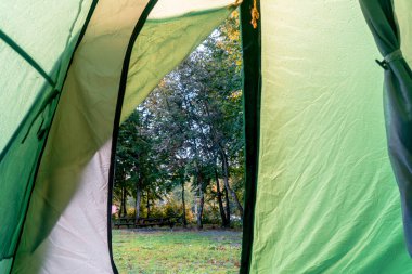 Kamp, doğada çam ormanı içinde kamp çadırı.