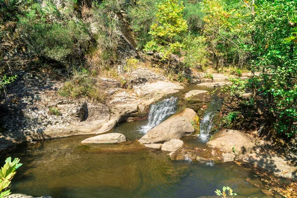Vista Del Pequeño Río Con Cascada Entre Bosque Arbóreo — Foto de Stock
