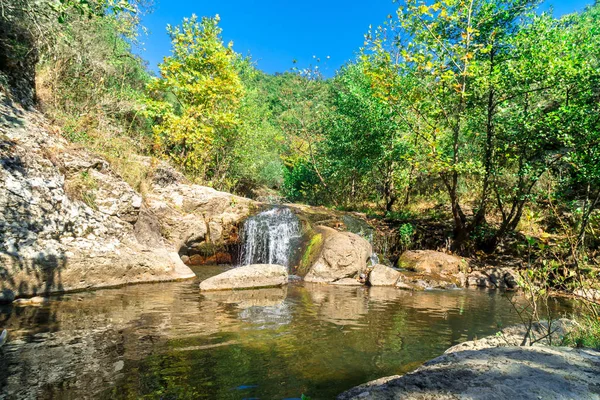 Vista Pequeno Rio Com Cachoeira Entre Floresta Arbórea — Fotografia de Stock