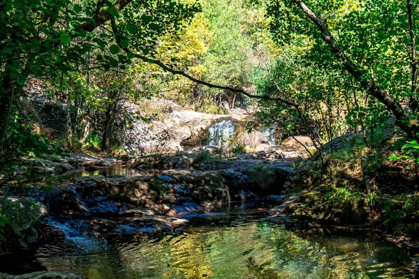 Blick Auf Kleinen Fluss Mit Wasserfall Inmitten Von Baumwald — Stockfoto