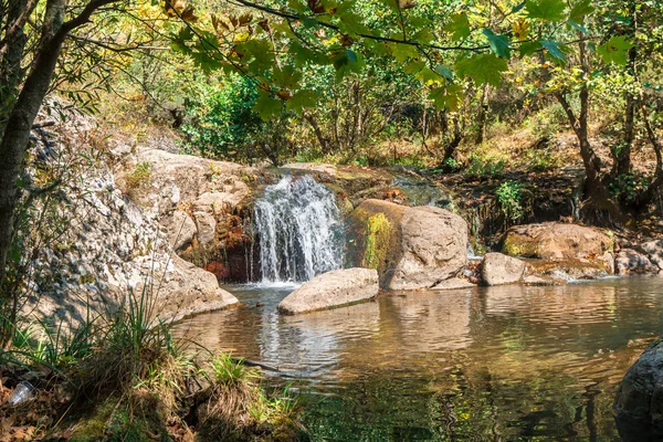 Vista Pequeno Rio Com Cachoeira Entre Floresta Arbórea — Fotografia de Stock