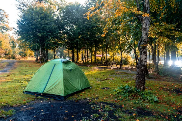 Tenda Camping Parque Campismo Pinhal Natureza — Fotografia de Stock