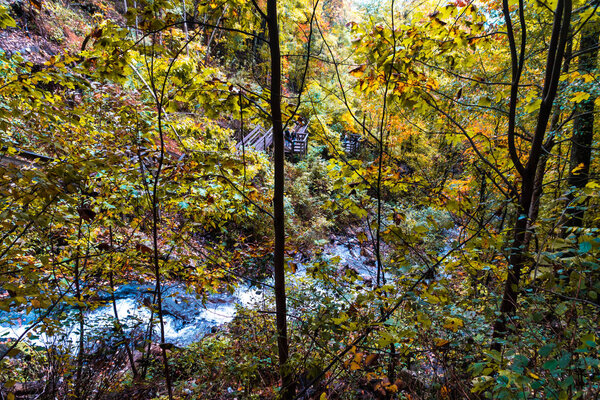 Scenic waterfall view in Amicalola State Park, Georgia, United States. Water is flowing from high among big autumn trees.