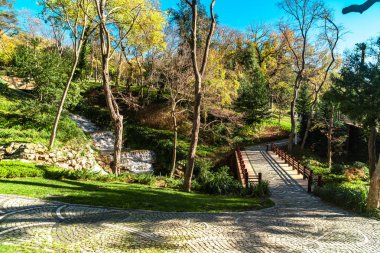 Büyük yeşil ağaçlar ile doğal park yol ve köprü görünümü.