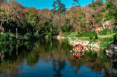 Küçük bir göl ve çevresinde renkli ağaçlar ile doğal sonbahar görünümü.
