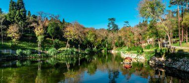 Istanbul, Türkiye - 06 Aralık 2018: Küçük bir göl ve renkli ağaçlarda yıldız Parki çevresinde doğal sonbahar görünümü. Park city turistik taze park vardır.