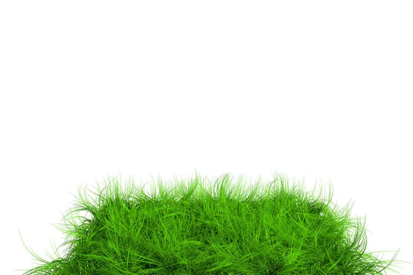 Grönt gräs textur på vit — Stockfoto