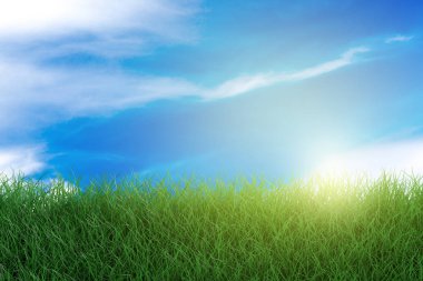 Sunshine Sky ile Bahar Yeşil Çim ve Tufts Sınır