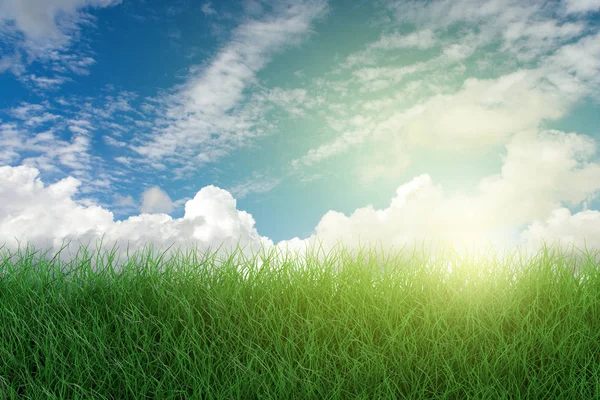 Grens van groen gras en sleepboten in de lente met Sunshine Sky — Stockfoto