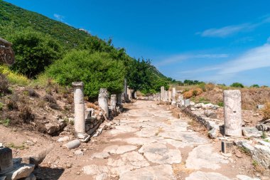 İzmir'de Efes Antik Kenti Harabeleri
