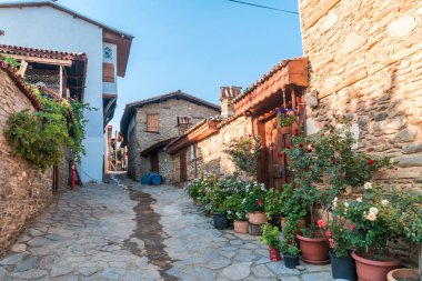 Birgi'de Mimari Taş Yapılar