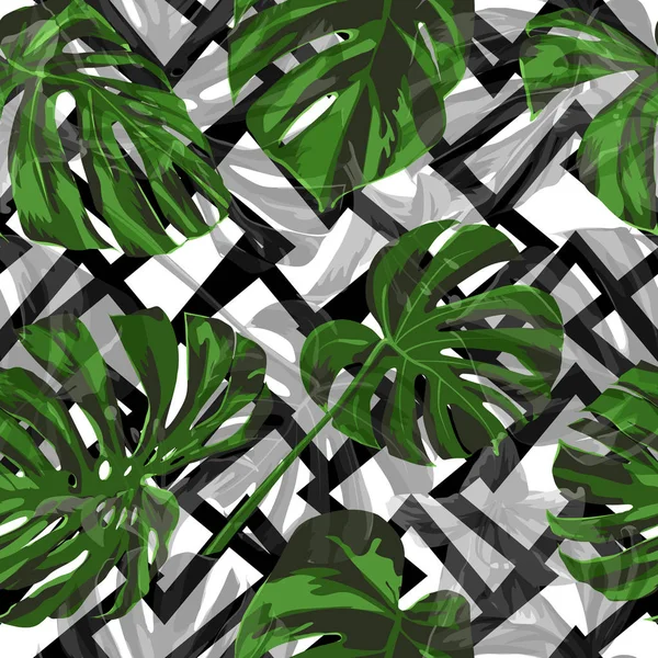 Monstera desen. Egzotik palmiye yeşillik zemin. Sorunsuz illüstrasyon. Yaz mayo için tasarım. Monstera Seamless modeli.