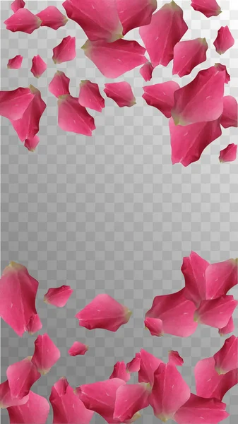 Fondo de pantalla real. Composición delicada. Pétalo Botánico. Invitación de verano. Tarjeta de San Valentín. Fondo de pantalla de luz real. Beauty Blossom. Decoración floral natural. Vector Confetti. Gráficos vectoriales