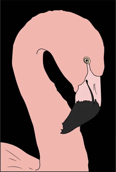 Ilustração Vetorial Flamingo Rosa Fundo Preto — Vetor de Stock
