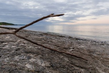 Bulutlu bir günde dalgaların karaya attığı odun