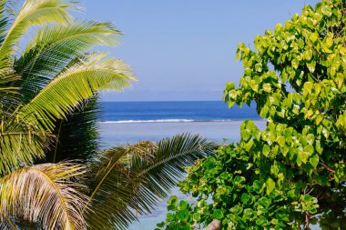 Fiji Coral Coast parlak yaz gününde