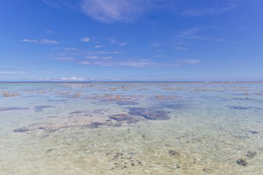 Öğlen düşük tide Resifi'nde Fiji