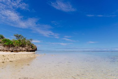 Fiji Coral Coast beyaz plaj manzara