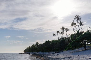 Fiji Coral Coast öğleden sonra