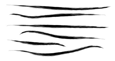 Bir dizi grunge siyah boya, mürekkep fırçası darbeleri. Fırça darbeleri koleksiyonu. Kirli grunge sanatsal tasarım elementleri, arka plan, doku, fırçalar