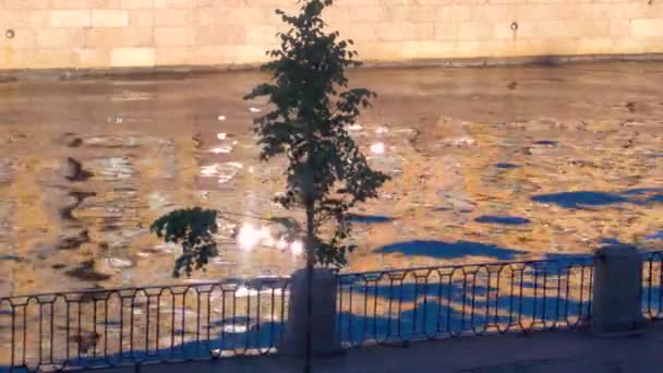 Сонце Відбивається Річці Вода Залізним Парканом Дерево Зеленим Листям — стокове відео