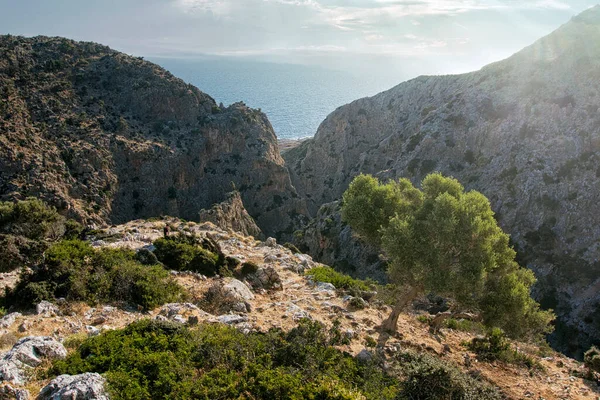 Avlaki Gorge Norte Mosteiro Gouverneto Chania Creta — Fotografia de Stock