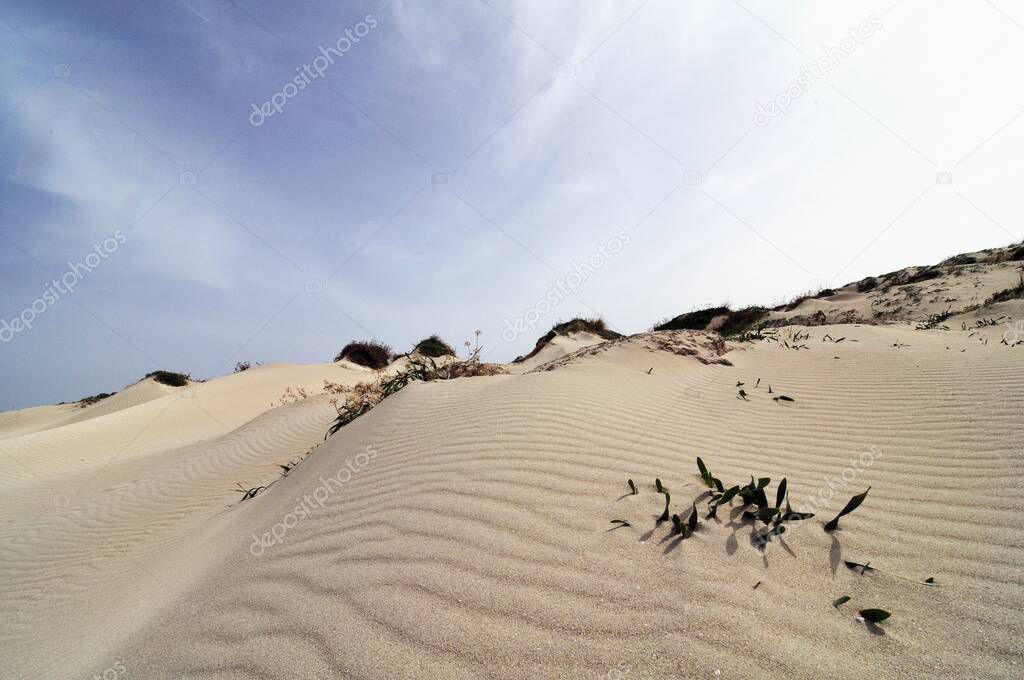 Sand dunes at Elafonisi, Crete