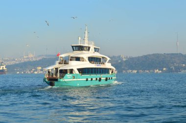 Dentur deniz yolcu taşımacılığı