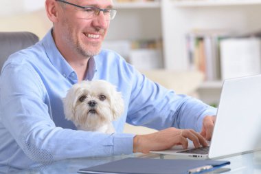 Evde ya da ofiste çalışan ve küçük köpeğini tutan bir adam..