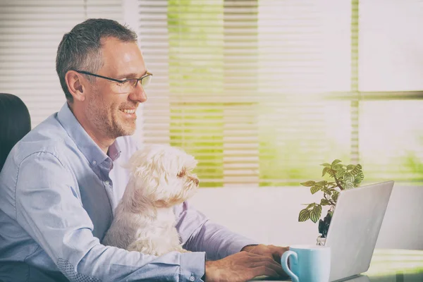 Άντρας Που Εργάζεται Στο Σπίτι Στο Γραφείο Και Κρατάει Σκυλάκι — Φωτογραφία Αρχείου