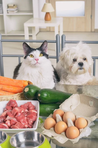 Preparação de alimentos naturais para animais de estimação — Fotografia de Stock