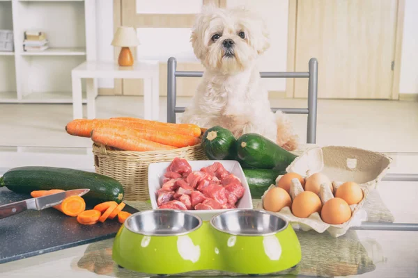 Preparación de alimentos naturales para mascotas — Foto de Stock