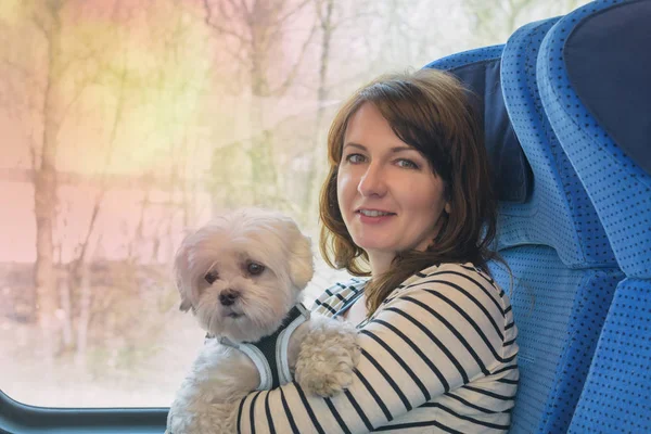 Reizen met de trein met zijn eigenaar hond — Stockfoto