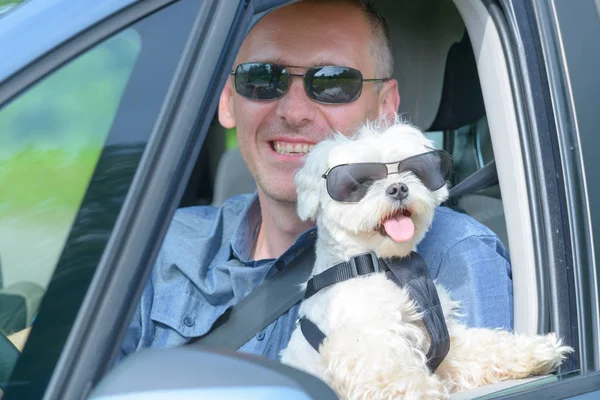 Perro y su dueño viajando en un coche — Foto de Stock