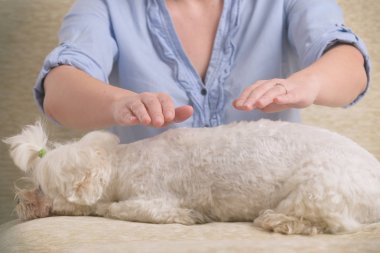Reiki terapi pratiği kadın