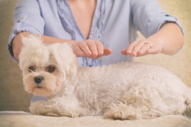 Reiki terapi pratiği kadın
