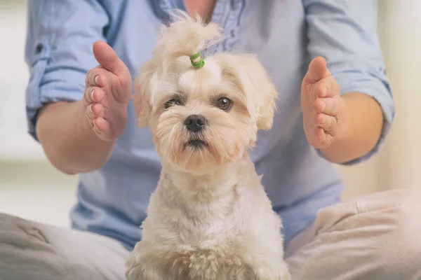 Vrouw beoefenen van reiki therapie — Stockfoto