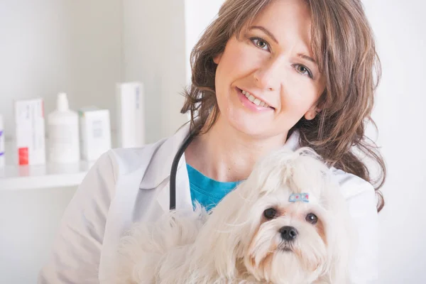 Счастливая женщина ветеринар держит маленькую собаку — стоковое фото
