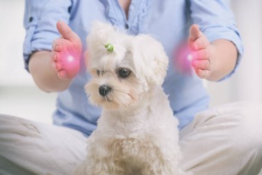 Reiki terapi pratiği kadın