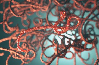 Ebola virüsünün mikroskobik görüntüsü, 3 boyutlu illüstrasyon