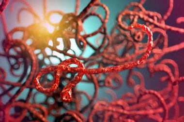 Ebola virüsünün mikroskobik görüntüsü, 3 boyutlu illüstrasyon