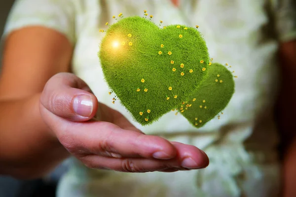 Руки Женщины Держат Зеленые Сердца Желтыми Цветами Естественный Экологический Стиль — стоковое фото