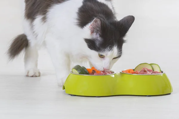 Gato Preto Branco Comendo Alimentos Naturais Orgânicos Uma Tigela Casa — Fotografia de Stock