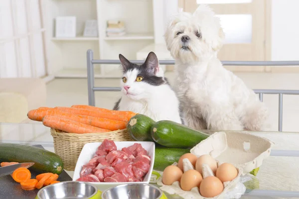 Preparación Alimentos Naturales Naturales Orgánicos Para Mascotas Hogar — Foto de Stock